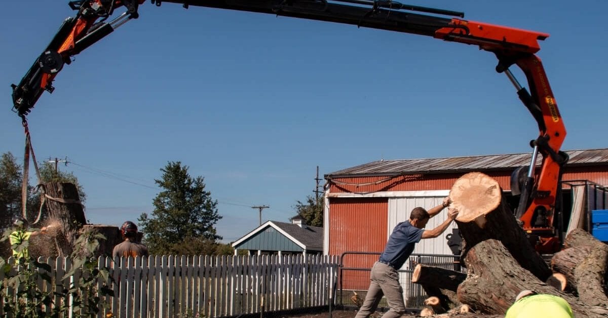 Emergency Tree Removal Ann Arbor, MI by Highland Tree Services