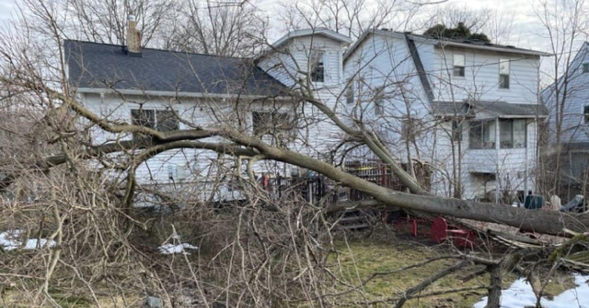 24/7 emergency tree service by Highland Tree Services in Washtenaw County, MI