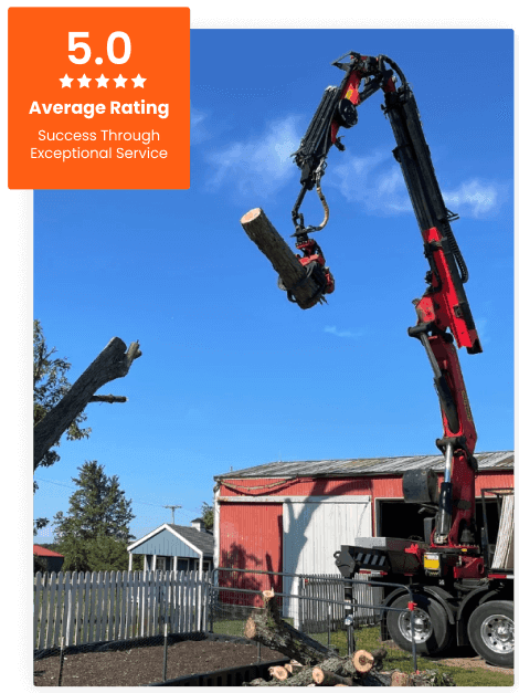 Commercial Tree Service