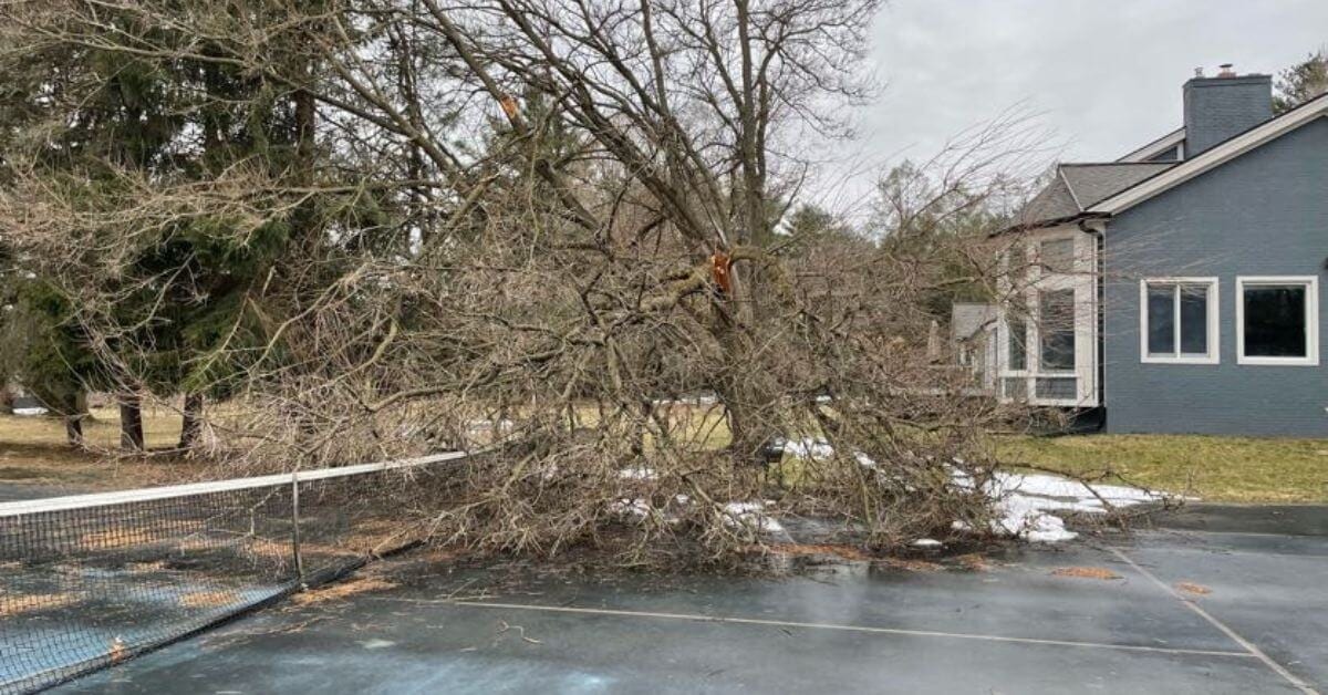 Storm Damage Cleanup
