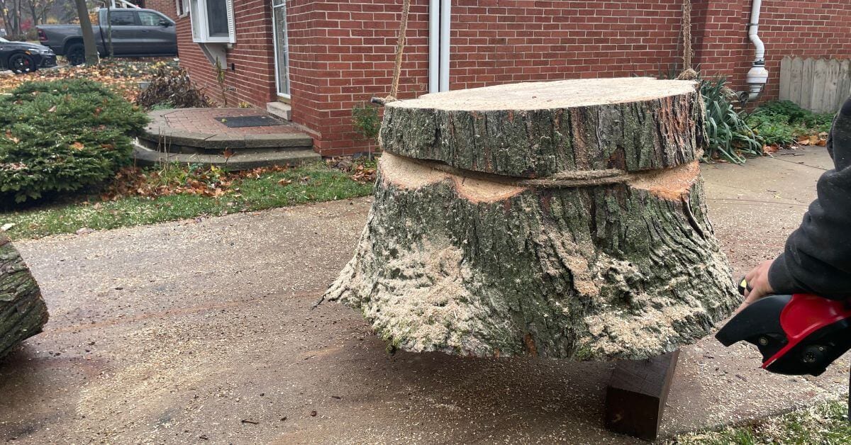 Stump Removal Grinding