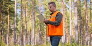 An ISA-certified arborist inspecting a large tree at a home in Ann Arbor, Michigan.
