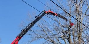 Certified arborists from Highland Tree Services carefully pruning a tree growing near power lines in Ann Arbor.