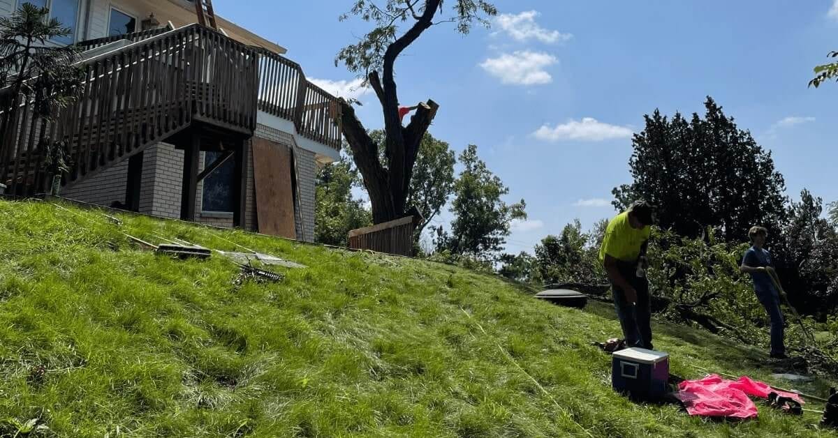 Professional Tree Services Rooted in Lodi Township