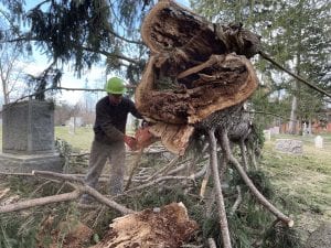 step-by-step emergency tree Service process – 24/7 call, on-site assessment, safe removal, debris cleanup, and follow-up advice to protect your property.