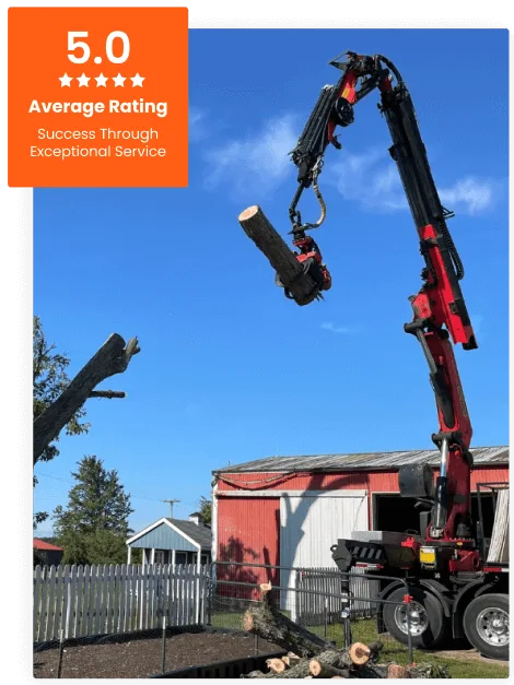 Commercial Tree Service