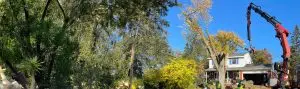 Highland Tree Services Providing Tree Care Services in Ann Arbor, MI and Washtenaw County, MI