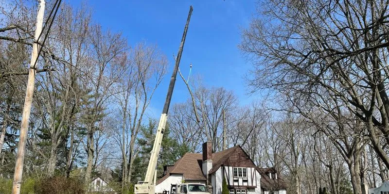The tree care experts at Highland Tree Services using specialized equipment to safely remove a large tree at a home near Ann Arbor.