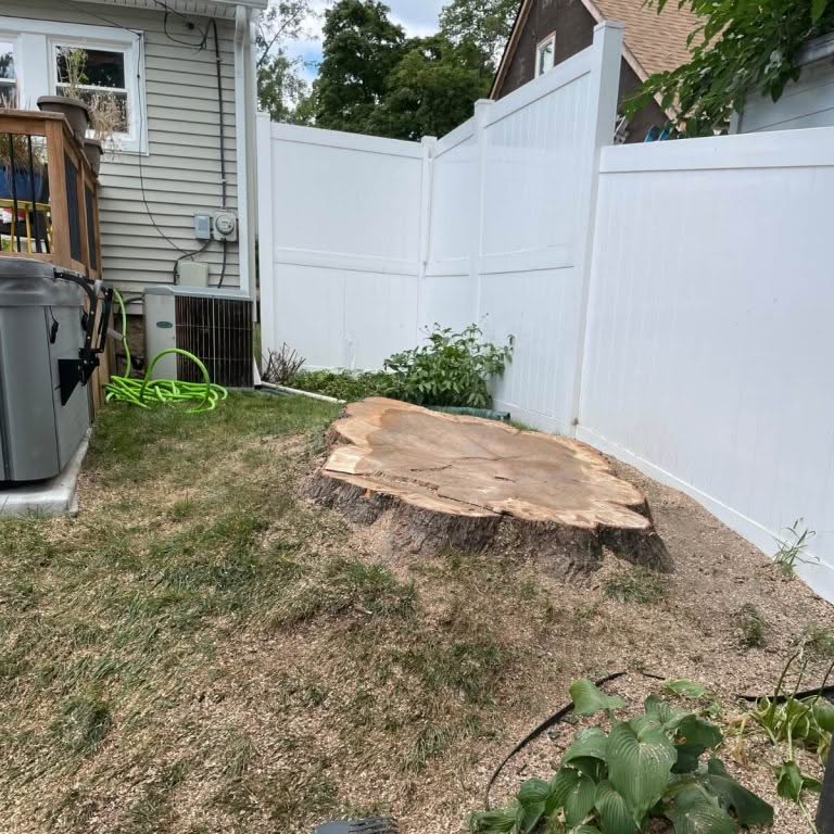 Highland Tree Services performing safe tree services in Ann Arbor, MI