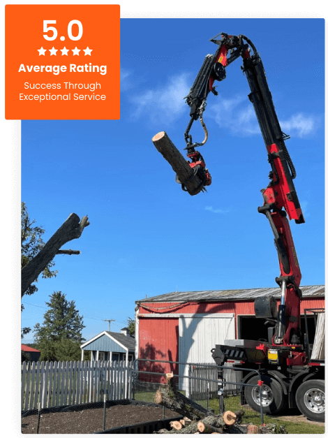 Commercial Tree Service